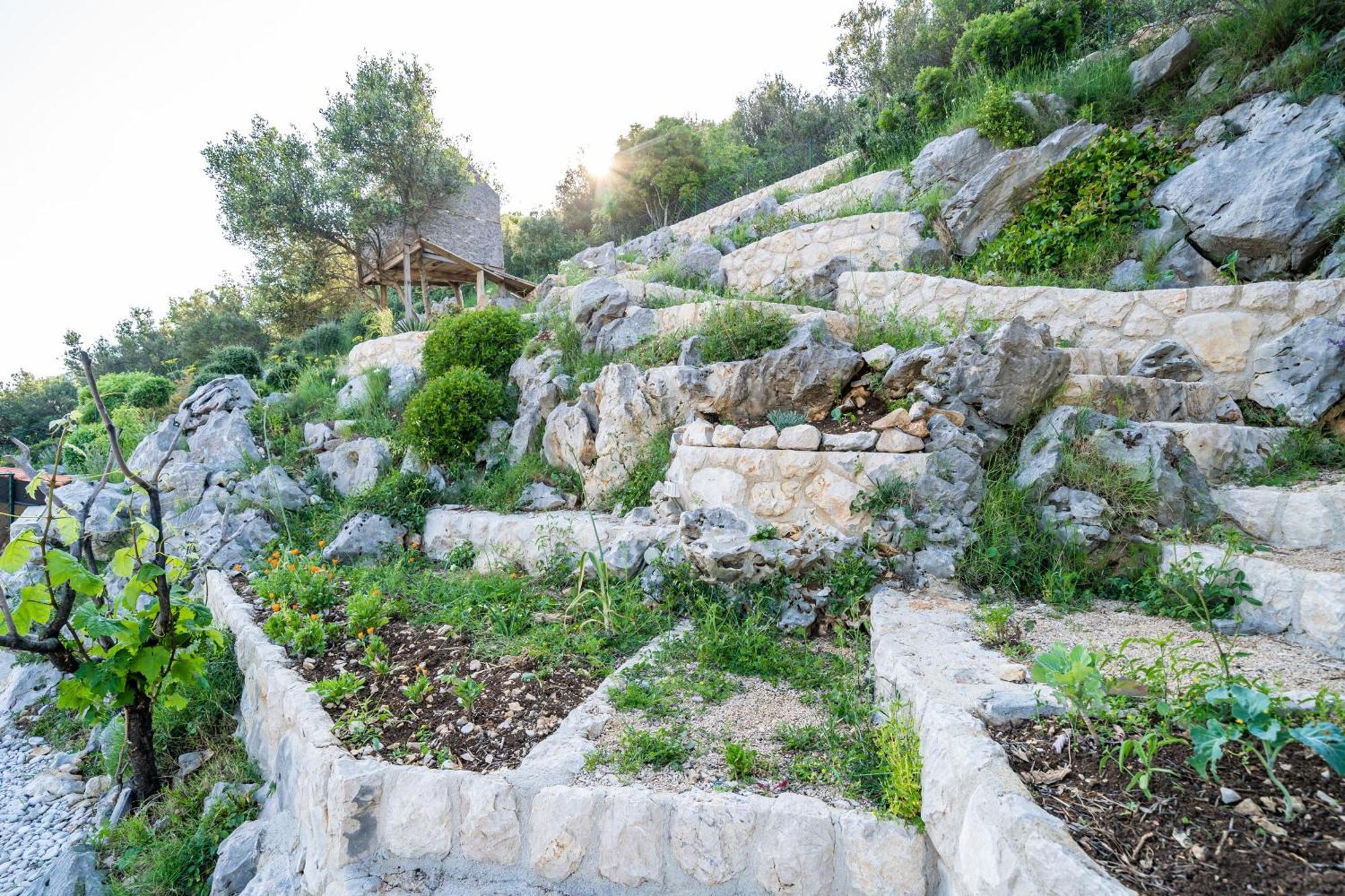 Apartments Villa Arcadia Ντουμπρόβνικ Δωμάτιο φωτογραφία